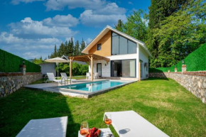 Müstakil Yüzme Havuzlu Geniş Bahçeli Villa Loft